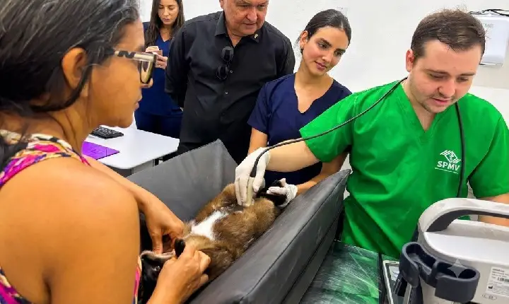 Com recursos destinados pelo General Girão, Natal avança na construção de seu segundo Hospital Veterinário