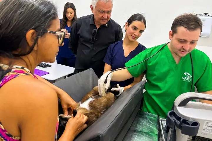 Com recursos destinados pelo General Girão, Natal avança na construção de seu segundo Hospital Veterinário