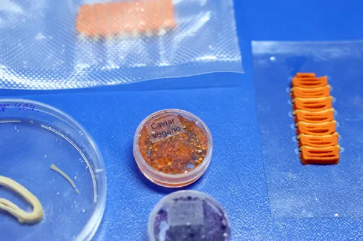 Embrapa produz em laboratório salmão, caviar e anéis de lula veganos