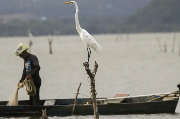 Mudanças aprovadas para o seguro-defeso previnem fraudes, diz relator