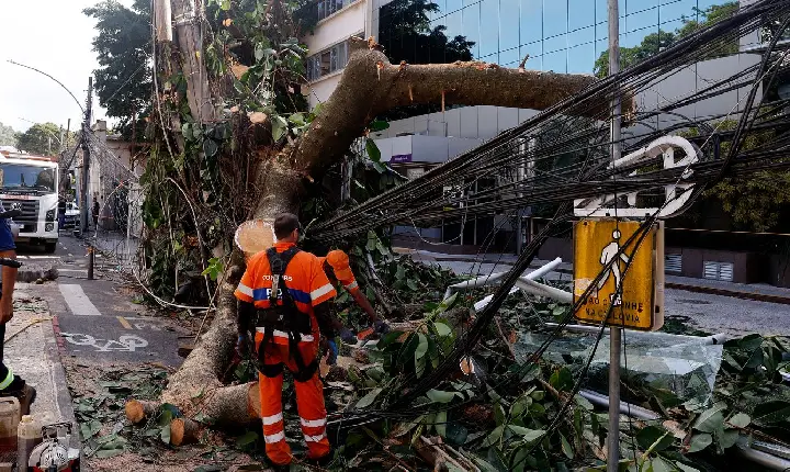 Rede elétrica mais resiliente requer investimento de concessionárias