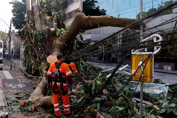 Rede elétrica mais resiliente requer investimento de concessionárias