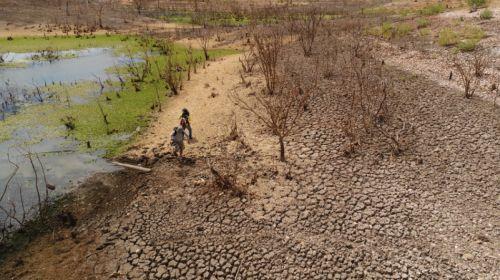 2019 começa com 68 municípios em situação de emergência por seca