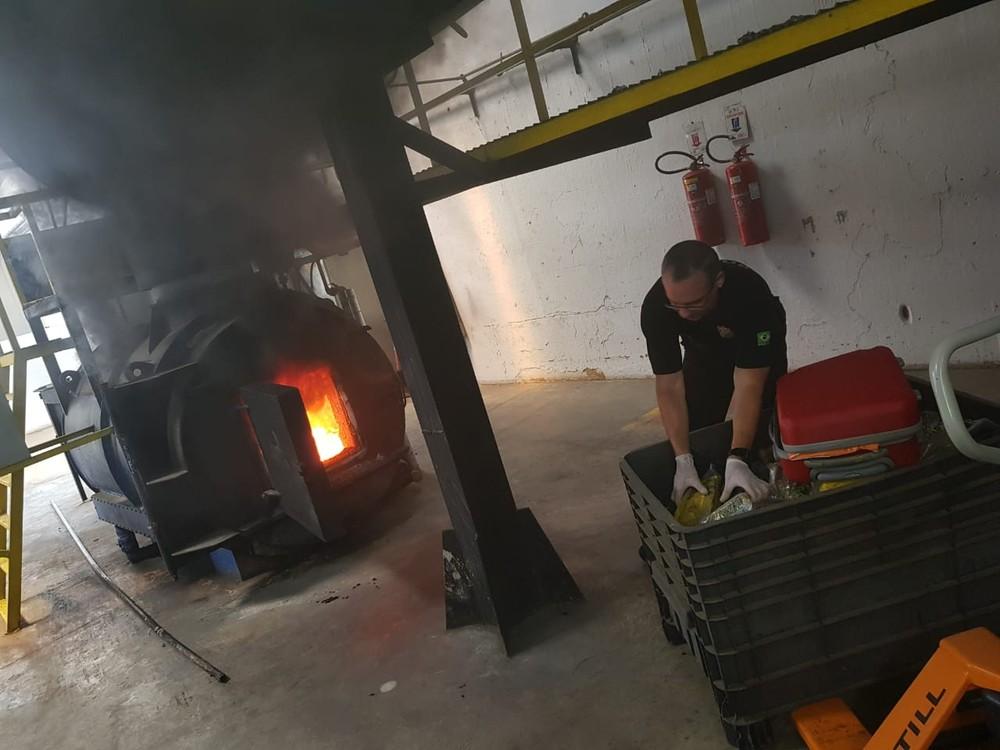 PF incinera 1,5 tonelada de drogas apreendidas em operações no RN