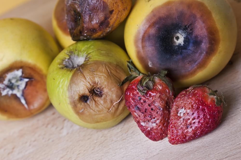 Estabelecimentos vendem alimentos estragados causando revolta da população.