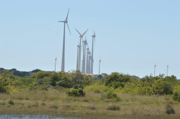 Ministério de Minas e Energia autoriza construção de novo parque eólico no RN