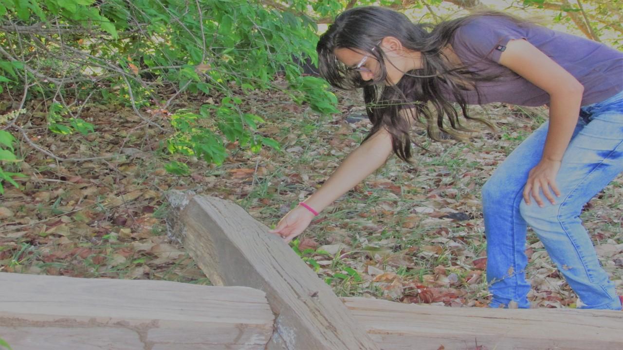 VOCÊ LEMBRA DO ANTIGO CRUZEIRO DE GEORGINO AVELINO? CONHEÇA ESSE PONTO FANTÁSTICO!