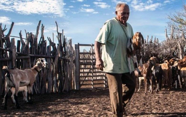 MP de Bolsonaro desmonta Previdência rural e penaliza trabalhador do campo