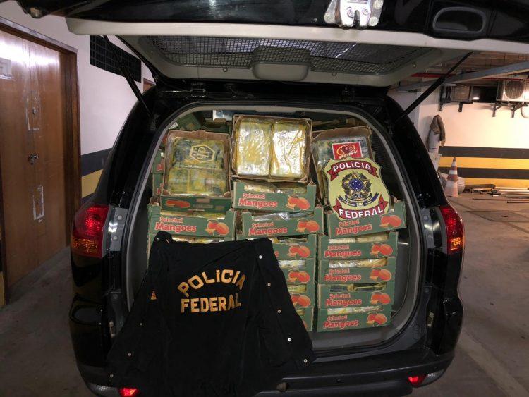 PF encontra 1,2 tonelada de cocaína em contêineres no Porto de Natal