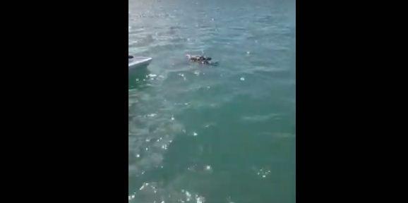 Vídeo: pescadores encontram corpo de mulher boiando na Praia do Gunga
