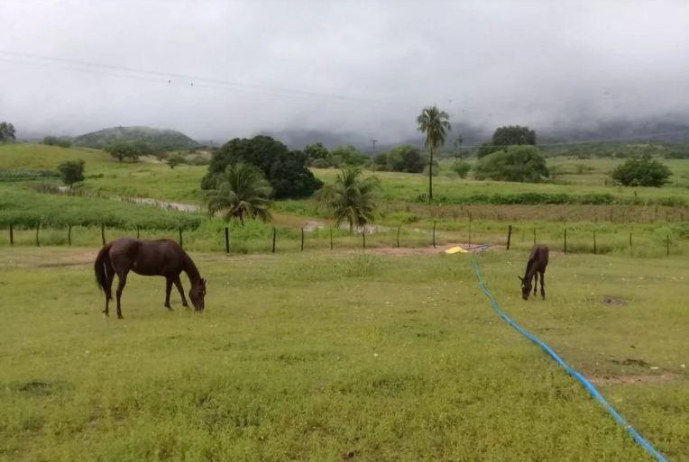 Chuvas devem continuar e com mais intensidade no fim de semana no RN
