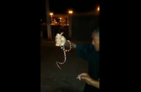 Vídeo: homem é picado por cobra coral e morre na Bahia