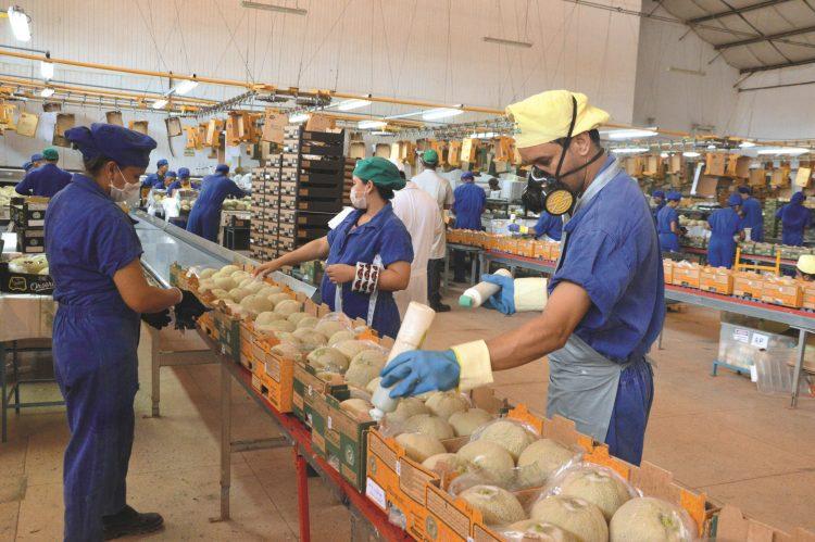 RN exporta 206 milhões de dólares no 1º semestre e aumenta vendas em 60%