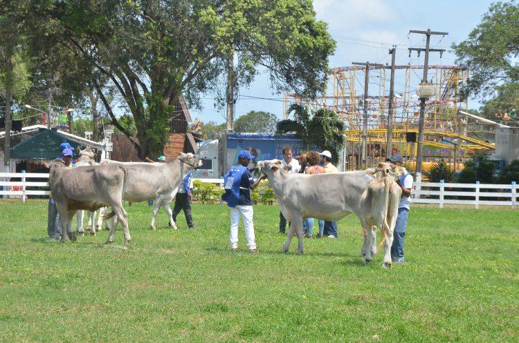 Maior evento do agronegócio potiguar deve gerar R$ 60 milhões em negócios