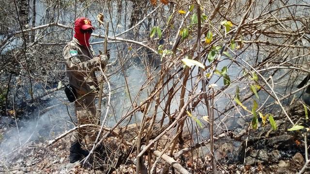Em um dia, Corpo de Bombeiros registra 21 incêndios florestais no RN