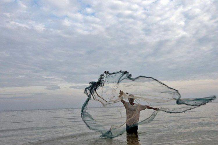 Pescados do Nordeste não apresentam riscos para consumo