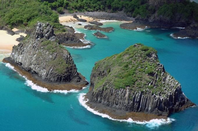 Planta invasora e altamente perigosa se espalha por Fernando de Noronha