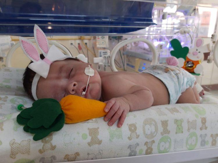 Bebês de UTI em hospital de João Pessoa são fantasiados de ‘coelhinhos da Páscoa’