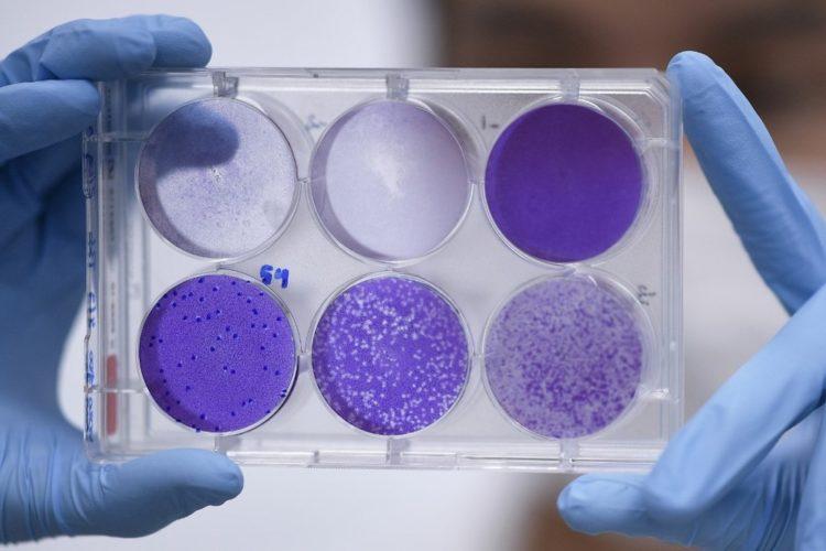 Brasil tem quase 200 voluntários dispostos a se infectar com coronavírus em possíveis testes de vacina