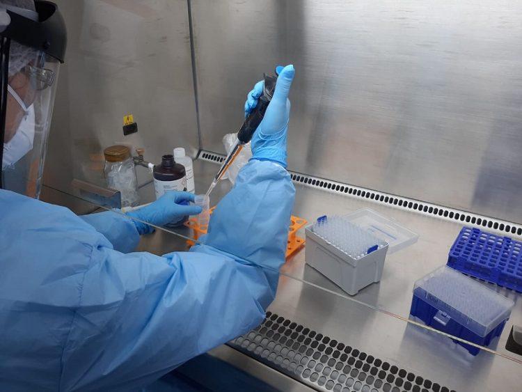 RN ultrapassa marca de 3,1 mil infectados por Covid-19 e contabiliza 139 mortos