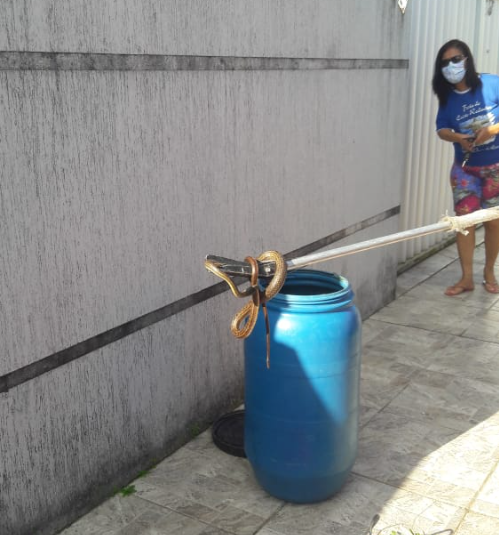 Bombeiros resgatam cobra em máquina de lavar roupas na Grande Natal