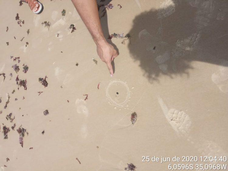 Fragmentos de óleo voltam a aparecer em praia do Litoral Sul do RN