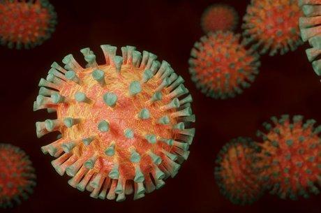 Células de gordura podem servir de depósito para o novo coronavírus
