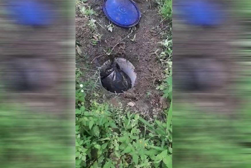 Homem é preso após ser flagrado escondendo maconha enterrada em plantação de batatas na Paraíba