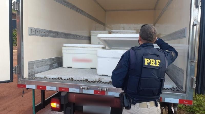 Mais de uma tonelada de lagosta foi apreendida pela Polícia Rodoviária Federal