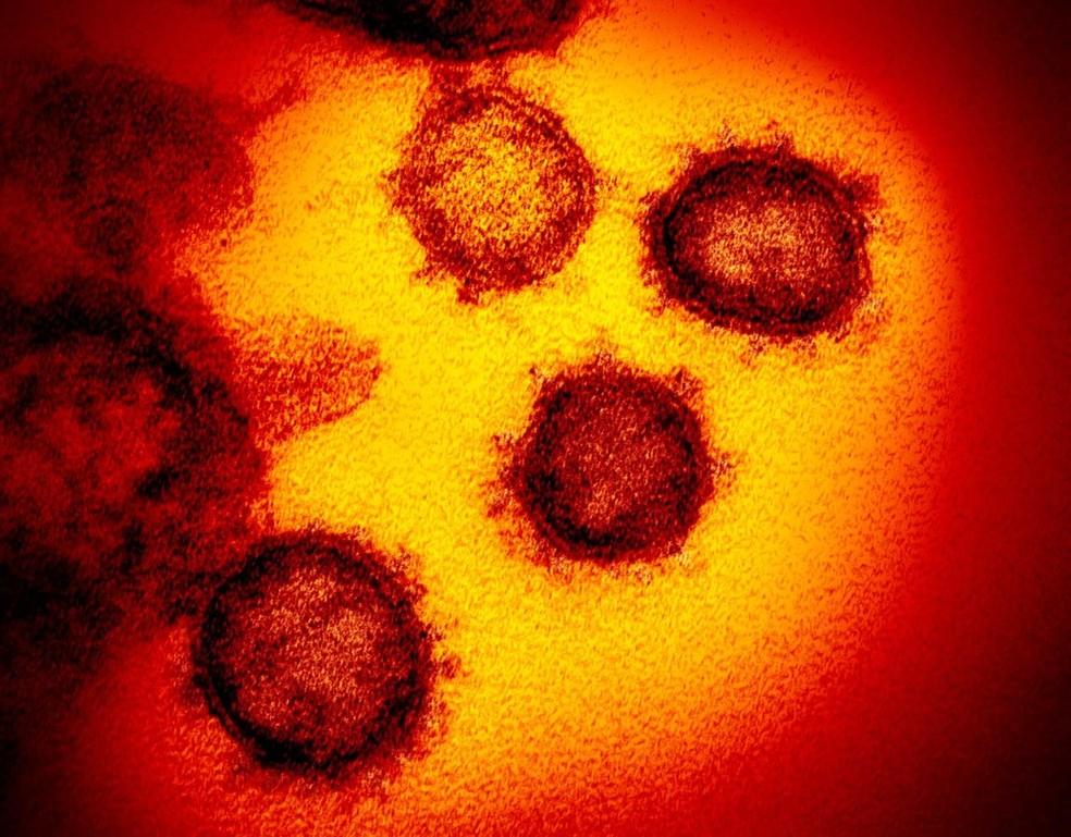 Mutação pode ter tornado o novo coronavírus mais vulnerável às vacinas, aponta estudo