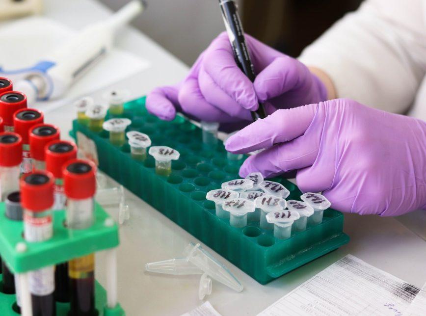 OMS identifica variante do vírus H1N2 com potencial pandêmico no Brasil