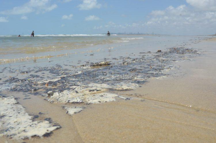 Um ano após vazamento de óleo, governo não multou ninguém e ainda deve R$ 43 mi à Petrobras