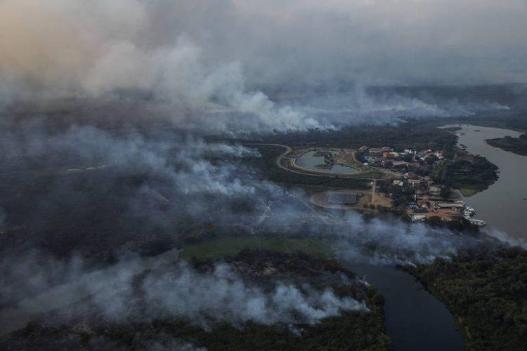 Com incêndios, Pantanal já perdeu 10% de toda a sua cobertura vegetal em 2020