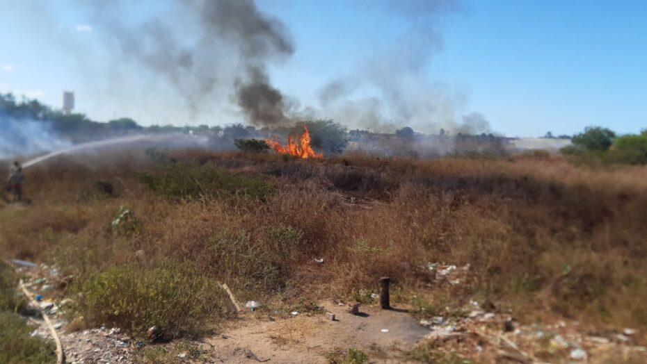 Bombeiros controlam incêndio florestal em Mossoró, no Oeste potiguar
