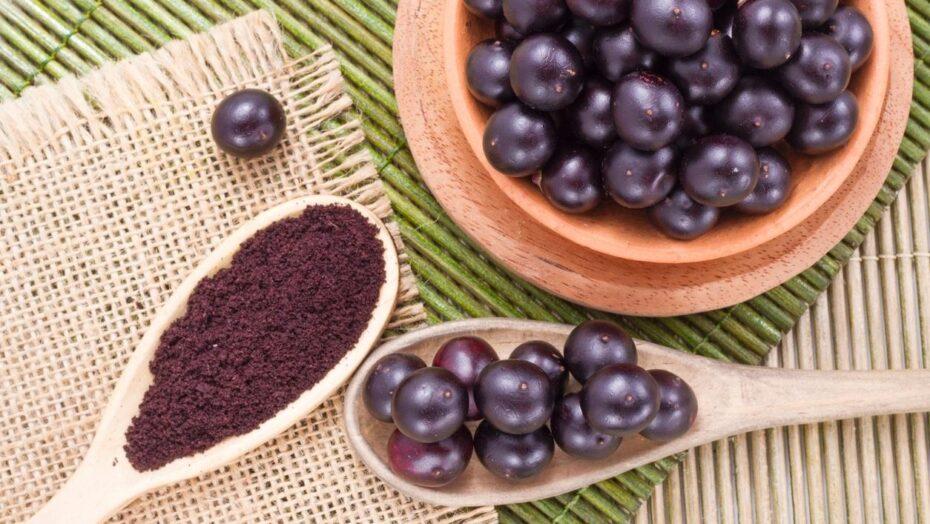Pesquisadores do Canadá testam açaí como tratamento contra a Covid-19