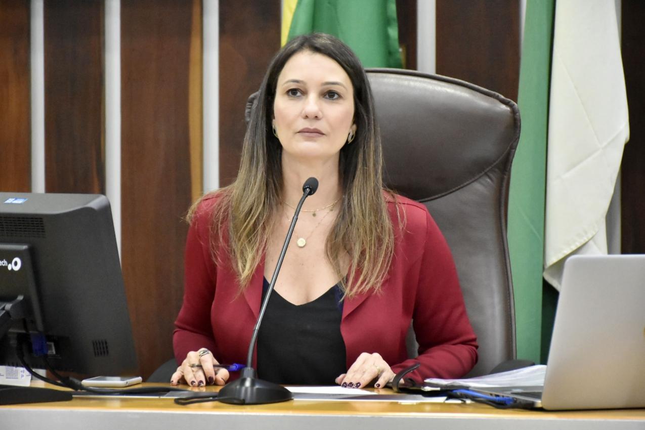 CRISTIANE DANTAS PEDE SEGURANÇA NAS VIAS DE ACESSO AO AEROPORTO DE SÃO GONÇALO