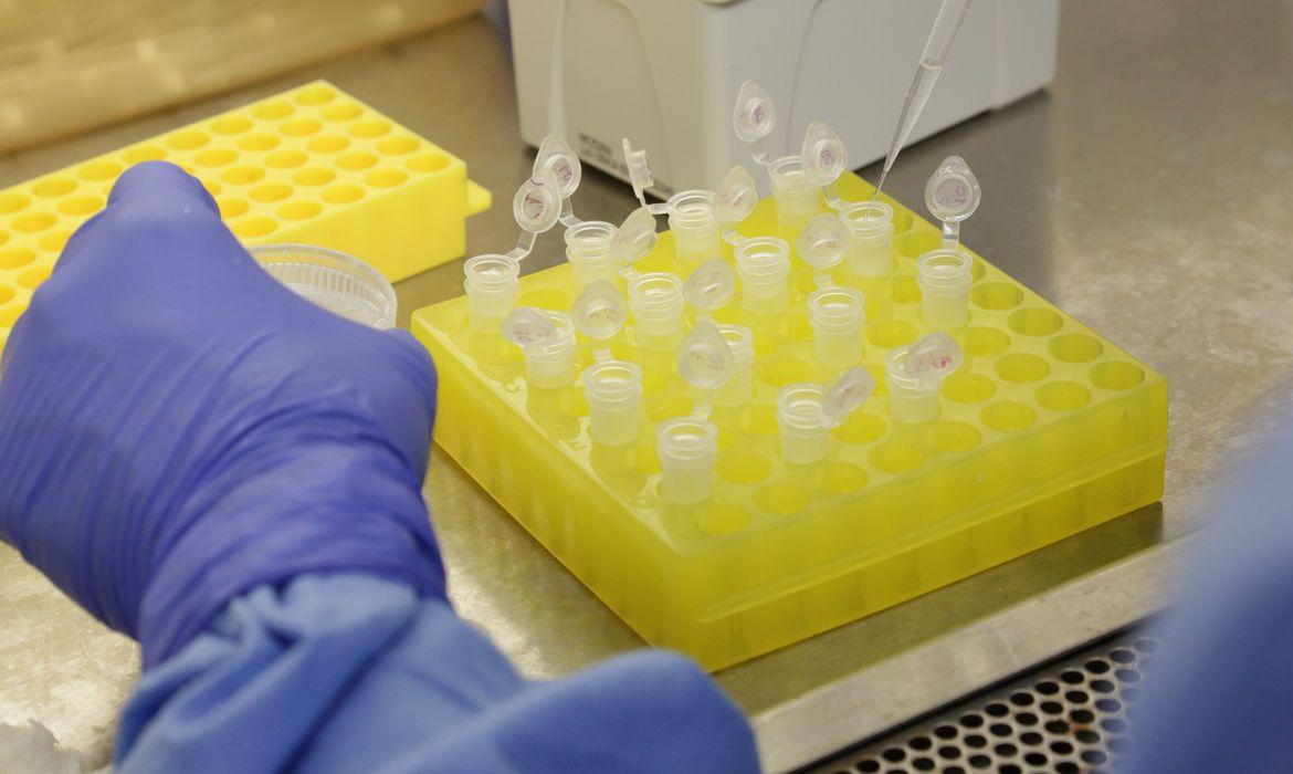 Números de mortes por covid-19 ultrapassa as 196 mil no país