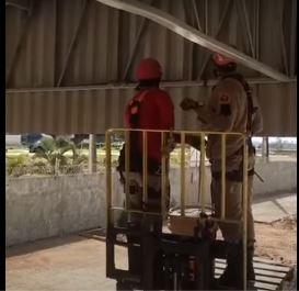 Jiboia de quase 2 metros invade fábrica na Grande Natal e assusta trabalhadores; VEJA VÍDEO