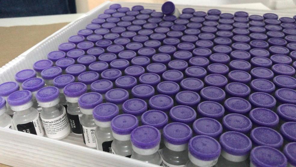 Sesap distribui lote com mais de 9 mil vacinas da Pfizer aos municípios do RN para imunização de grávidas e puérperas