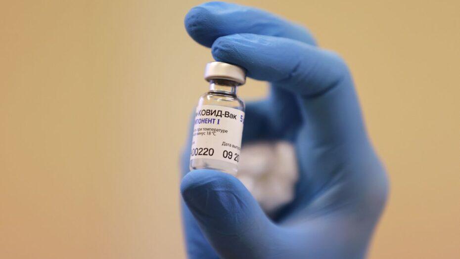 Anvisa analisa nesta sexta-feira pedidos de importação das vacinas Covaxin e Sputnik V