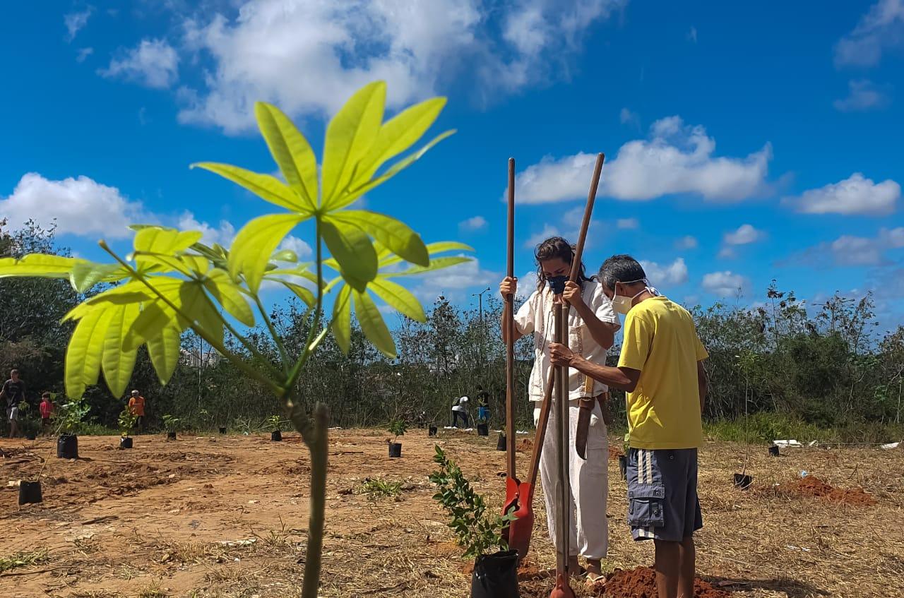 Prefeitura de Natal realiza o plantio de 430 mudas de árvores nativas em Cidade Satélite