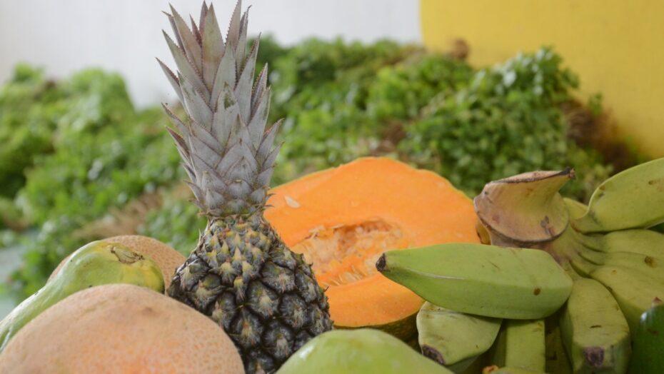 Prefeitura de São Gonçalo do Amarante já distribuiu mais de 250 toneladas de alimentos em 2021