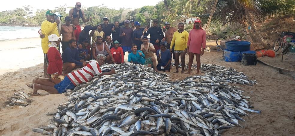 Pescadores capturam 8 mil peixes e surpreendem frequentadores de praia da Grande Natal