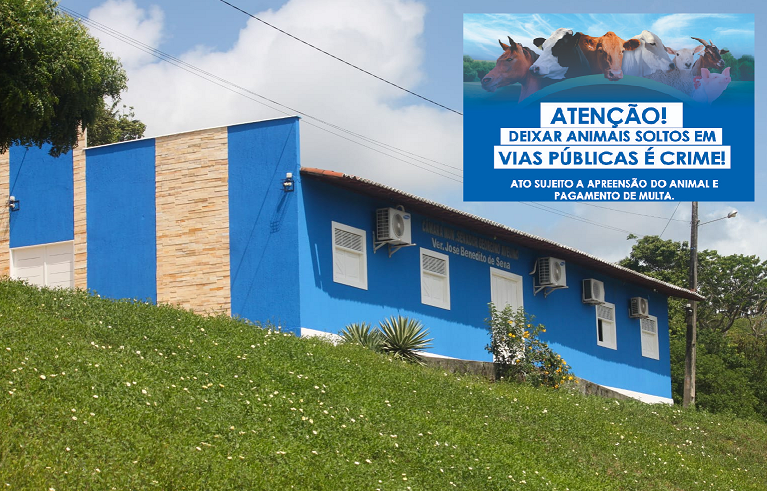 CÂMARA APROVA PROJETO QUE PROÍBE ANIMAIS SOLTOS EM VIAS E ESPAÇOS PÚBLICOS EM GEORGINO AVELINO