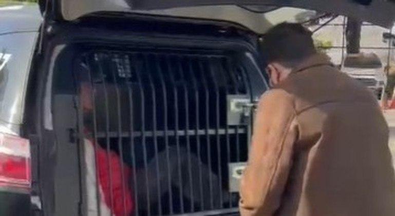 Após pagar R$ 10 a menino de 11 anos em troca de sexo, padeiro é preso