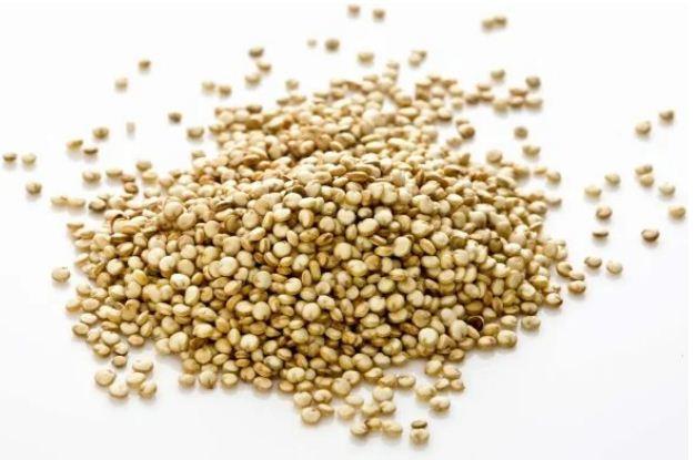Comer quinoa diariamente pode evitar diabetes tipo 2, sugere pesquisa