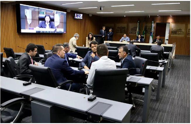 Vereadores derrubam veto em projeto de lei sobre implantação de árvores em Natal