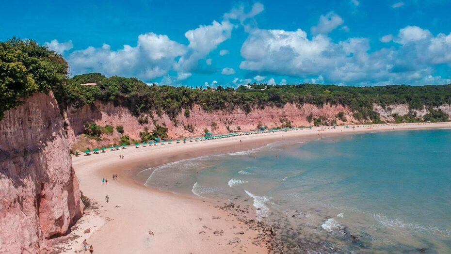 Dia Mundial da Limpeza: Preserve Pipa e Projeto Tamar promovem ação na praia de Pipa