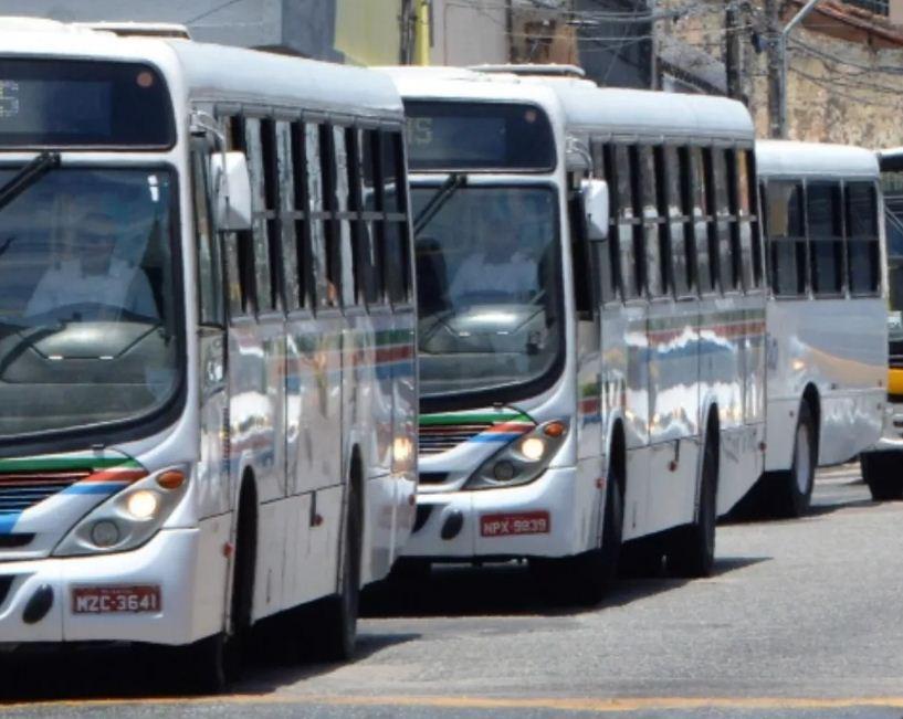 Paradas de ônibus no Alecrim terão mudanças nas linhas a partir de segunda