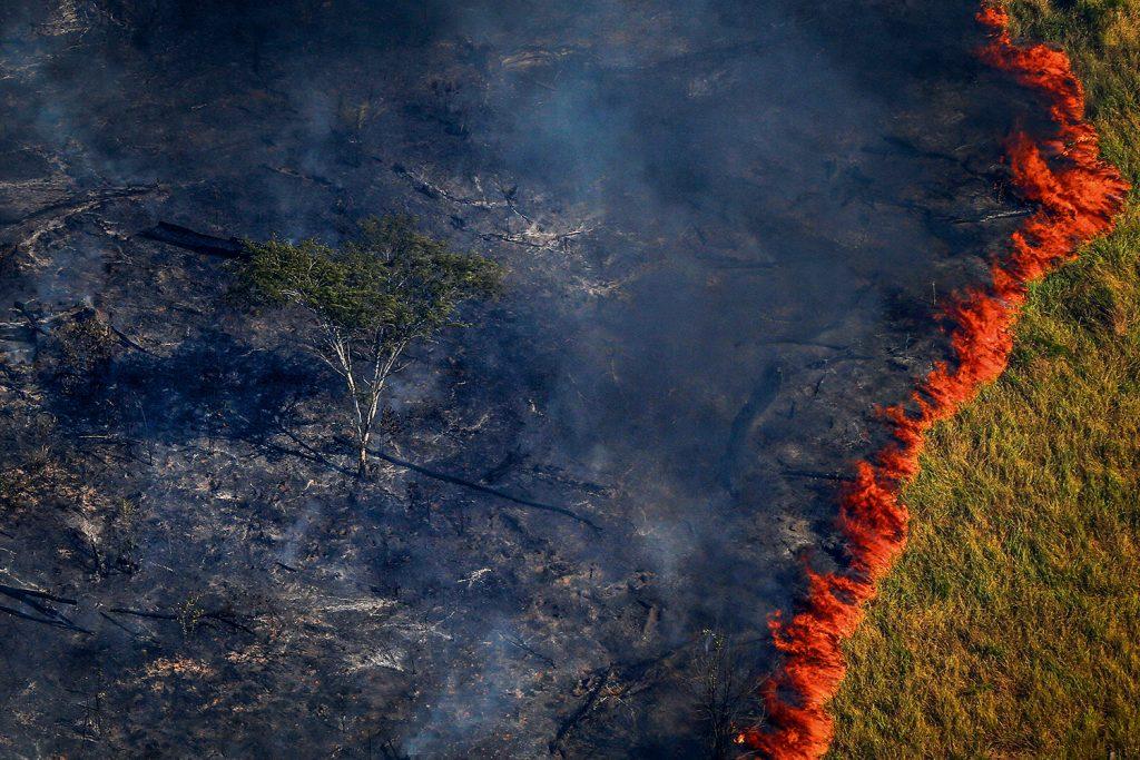 Amazônia tem desmatamento recorde em outubro